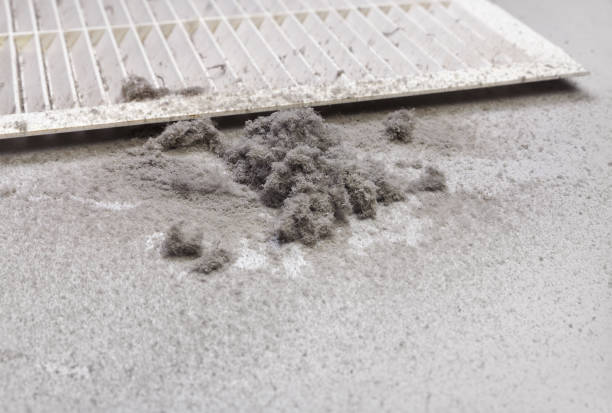 Best Local Air Duct Cleaning Services  in Zephyrhills West, FL