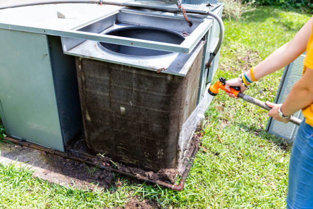 Best HVAC Air Duct Cleaning  in Zephyrhills West, FL