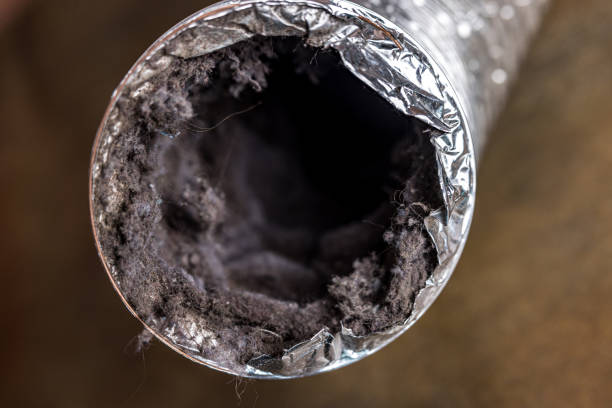 Best HVAC Duct Inspection Services  in Zephyrhills West, FL