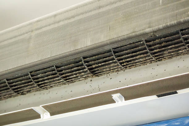 Best Commercial Air Duct Cleaning  in Zephyrhills West, FL